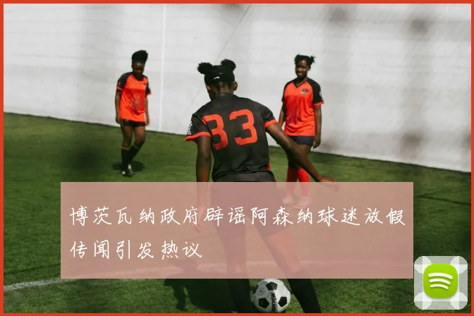 博茨瓦纳政府辟谣阿森纳球迷放假传闻引发热议